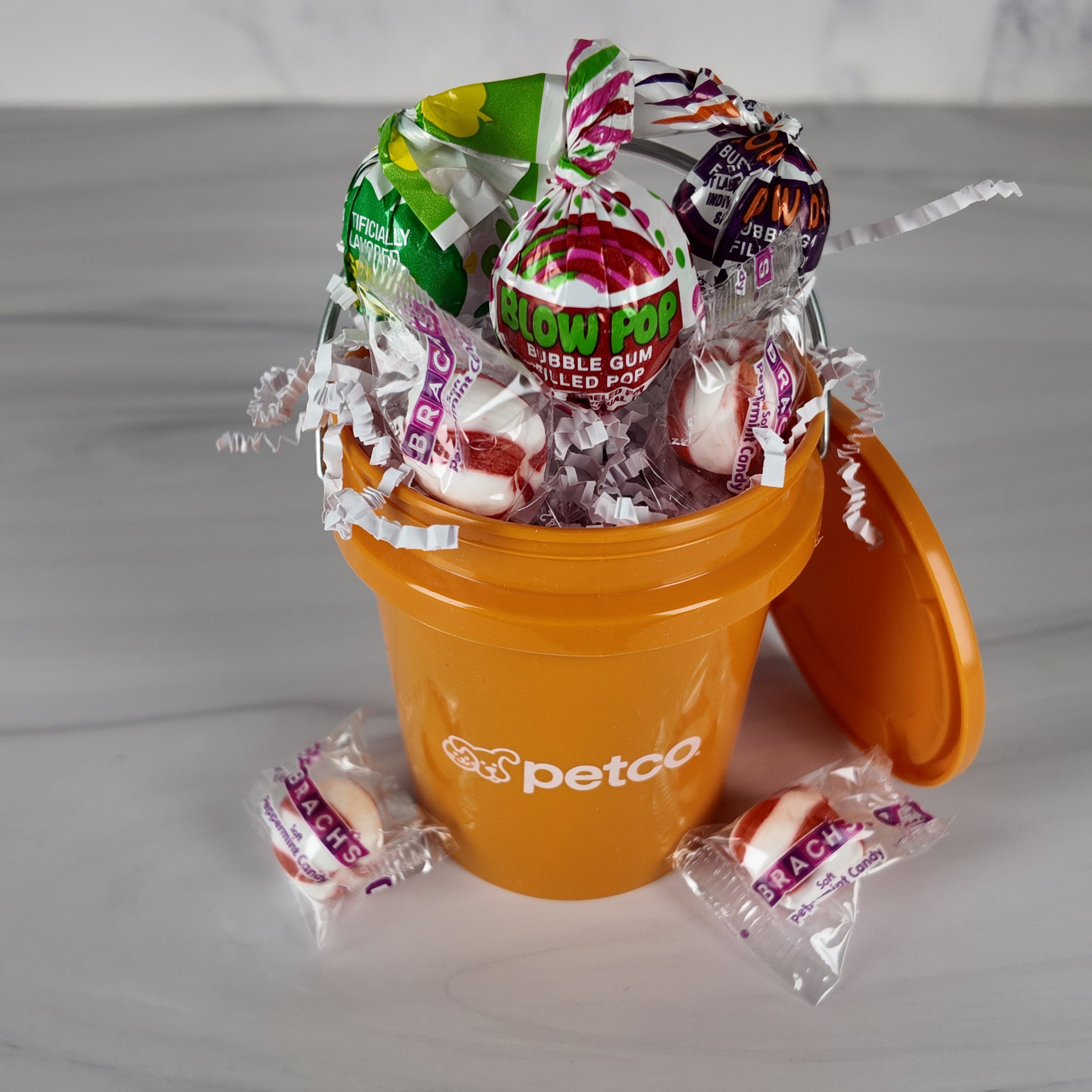 Collectible Orange Mini Bucket Gift Basket (Pet)