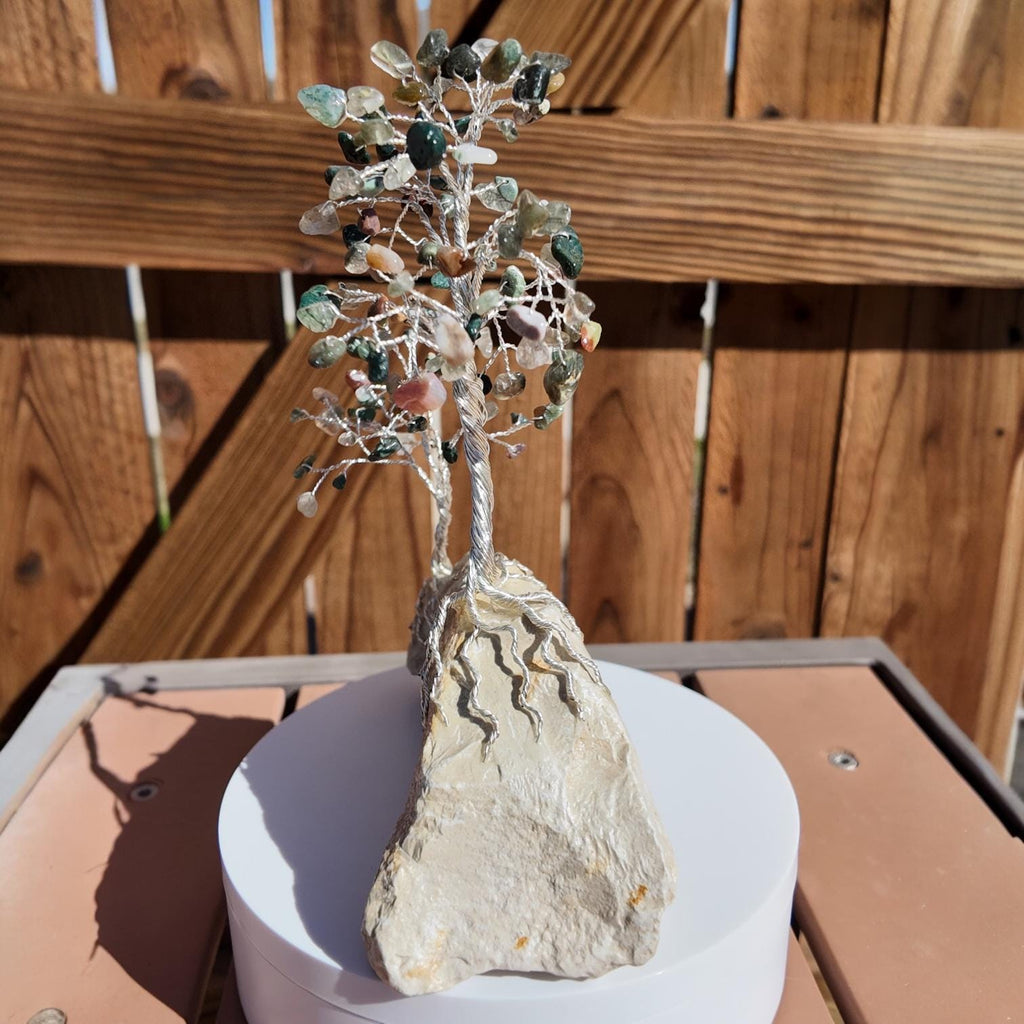 Indian Agate Wire Tree #2515