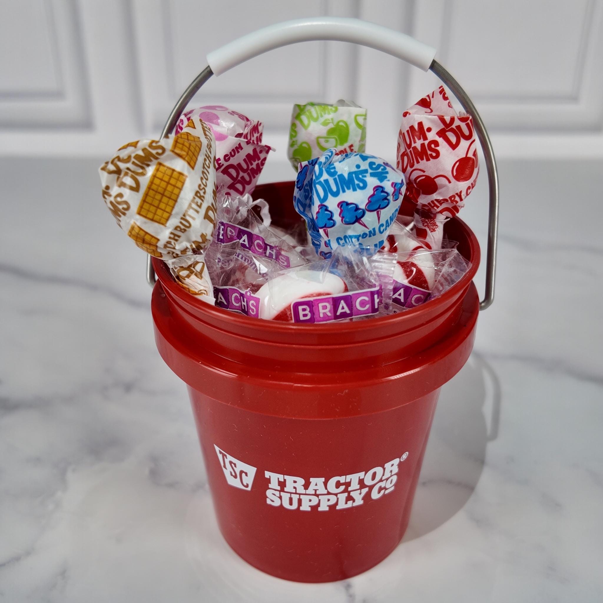Tractor Supply Mini Bucket Peppermint Lollipop Gift Basket