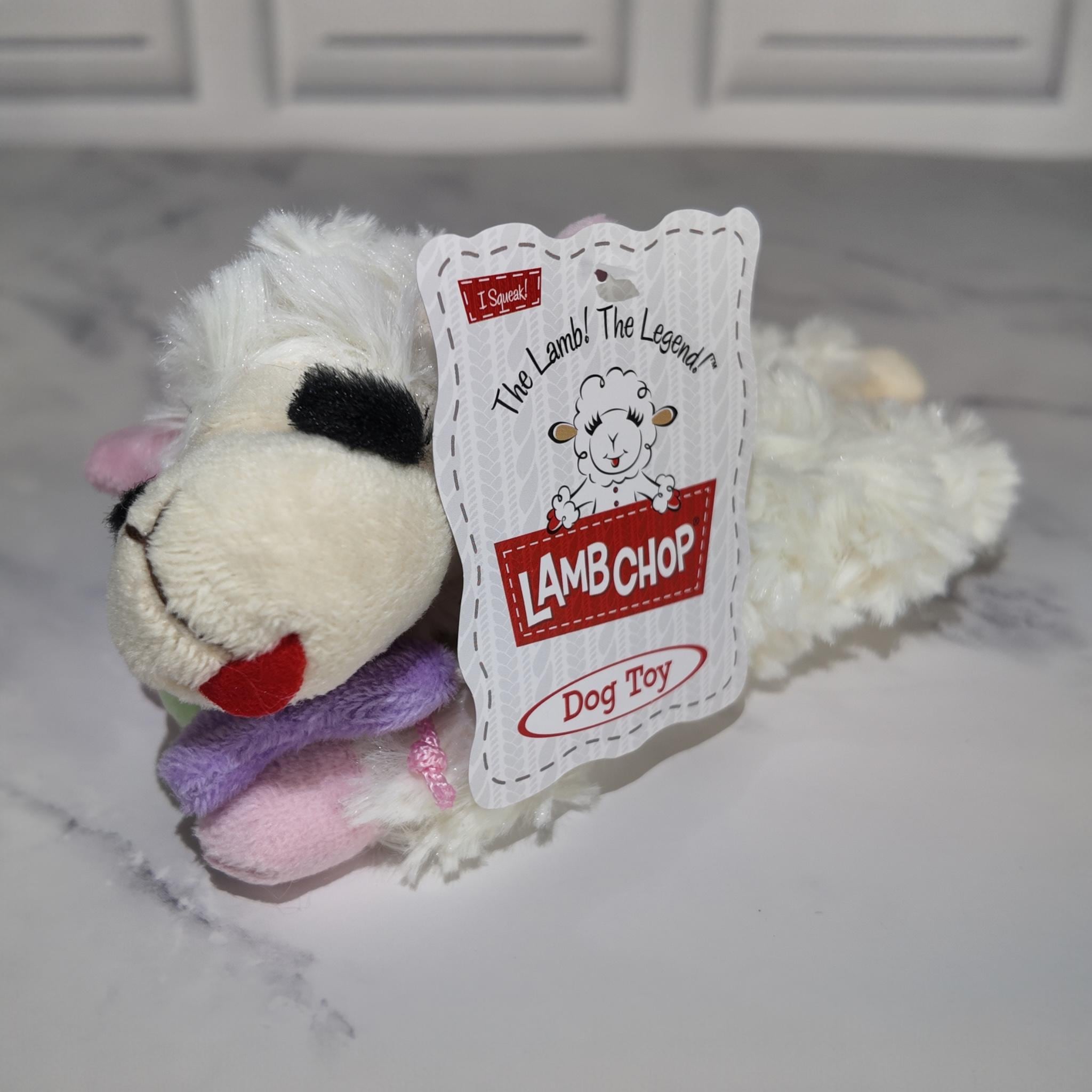 Small Dog Lovers Food Tray Gift Basket - Furry Friend