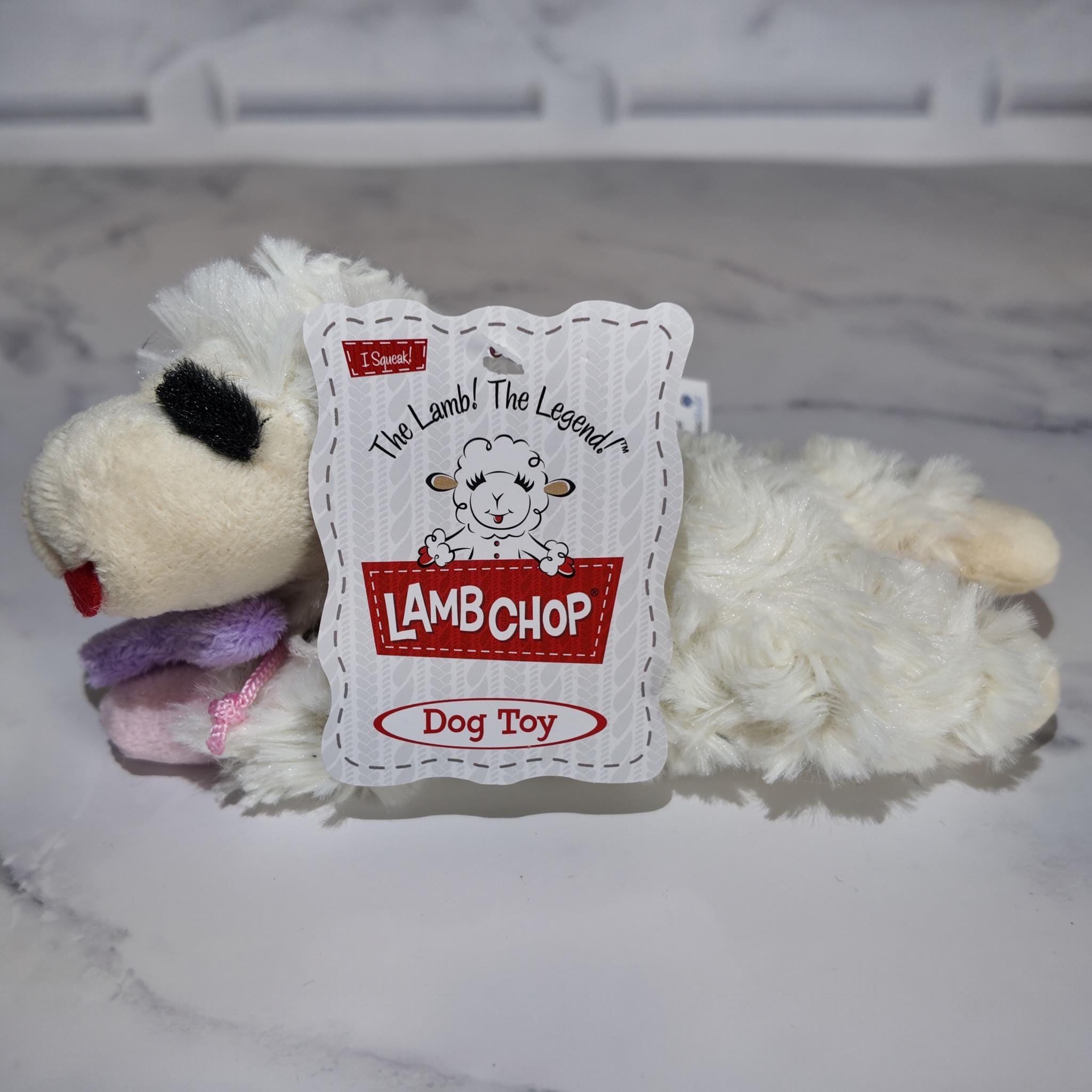 Small Dog Lovers Food Tray Gift Basket - Furry Friend