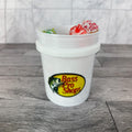 Bass Pro Shop Mini Bucket Peppermint Lollipop Gift Basket