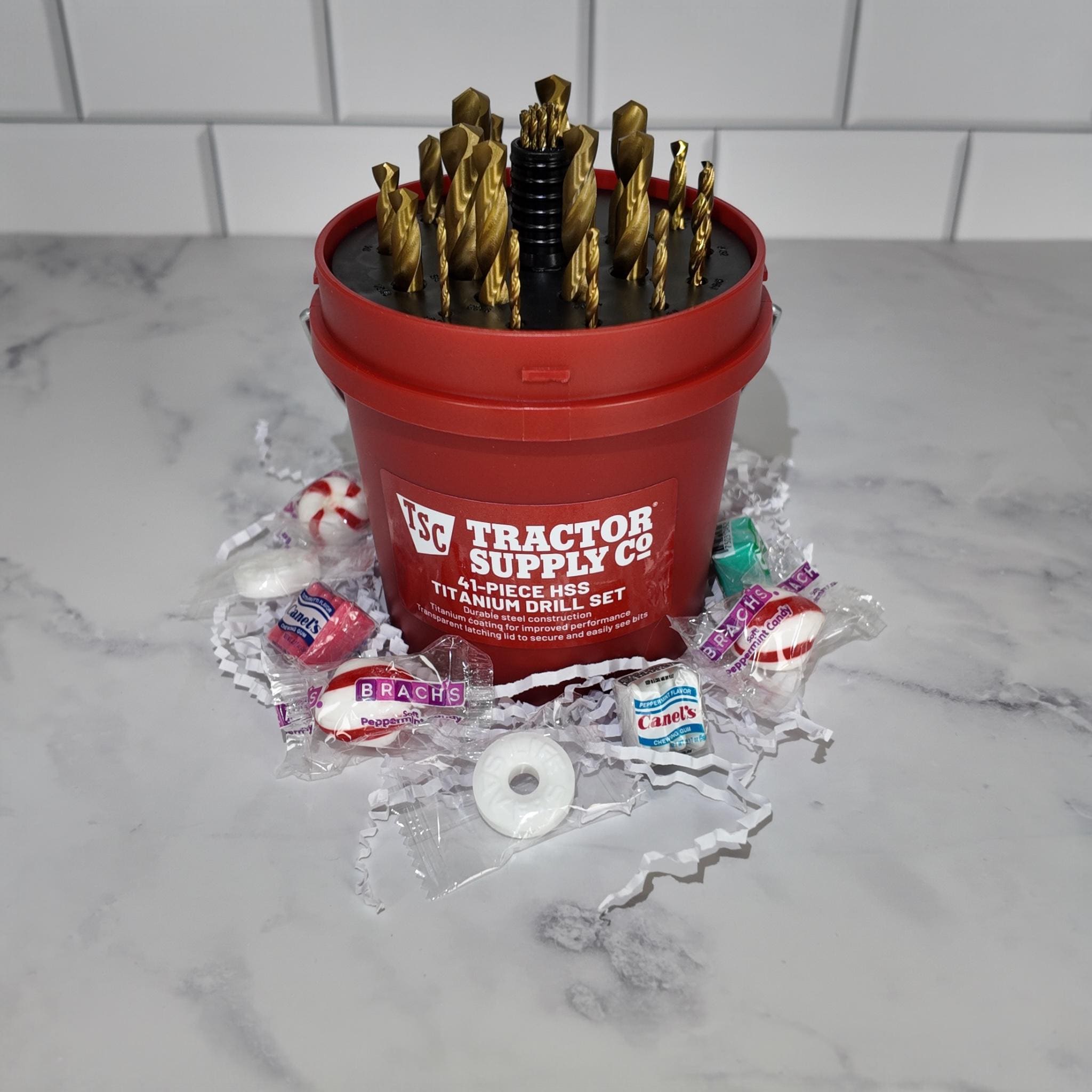 41-Piece Titanium Drill Bit Set Mini Bucket Gift Set – Tool Kit Bundle
