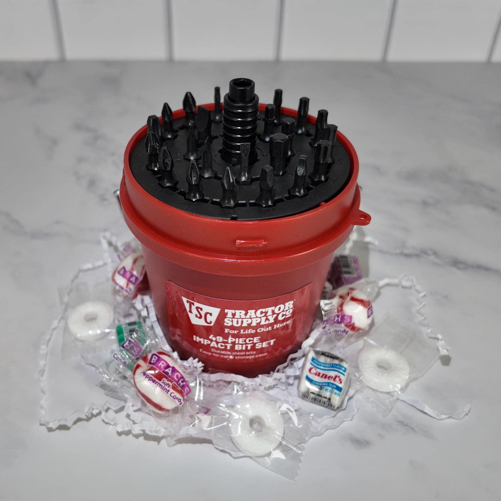 49-Piece Impact Bit Set – Mini Bucket Tool Gift Set
