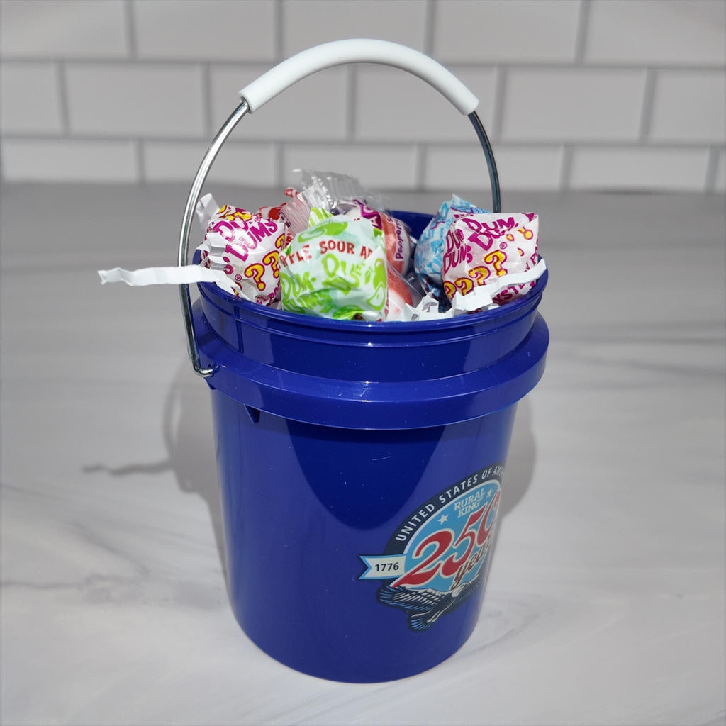 America 250 Years Mini Bucket Peppermint Lollipop Gift Basket Set