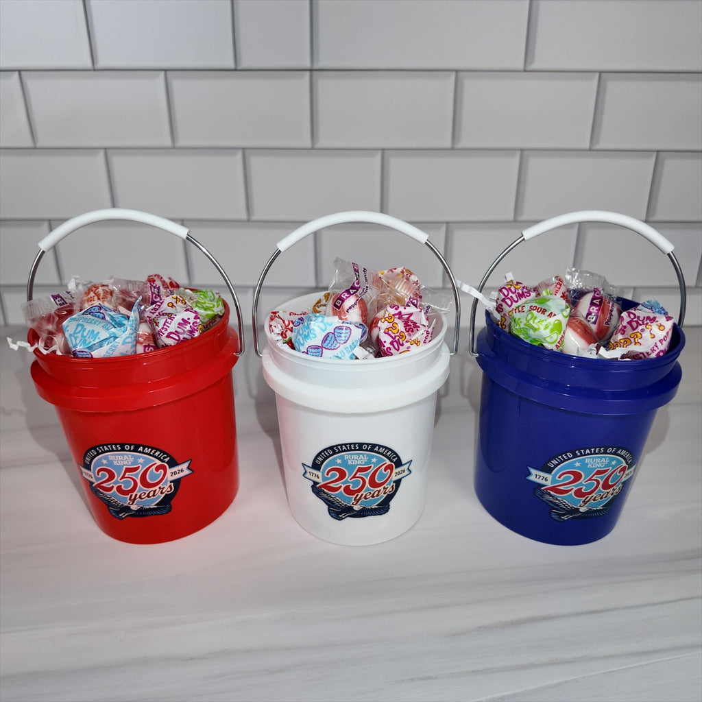 America 250 Years Mini Bucket Peppermint Lollipop Gift Basket Set