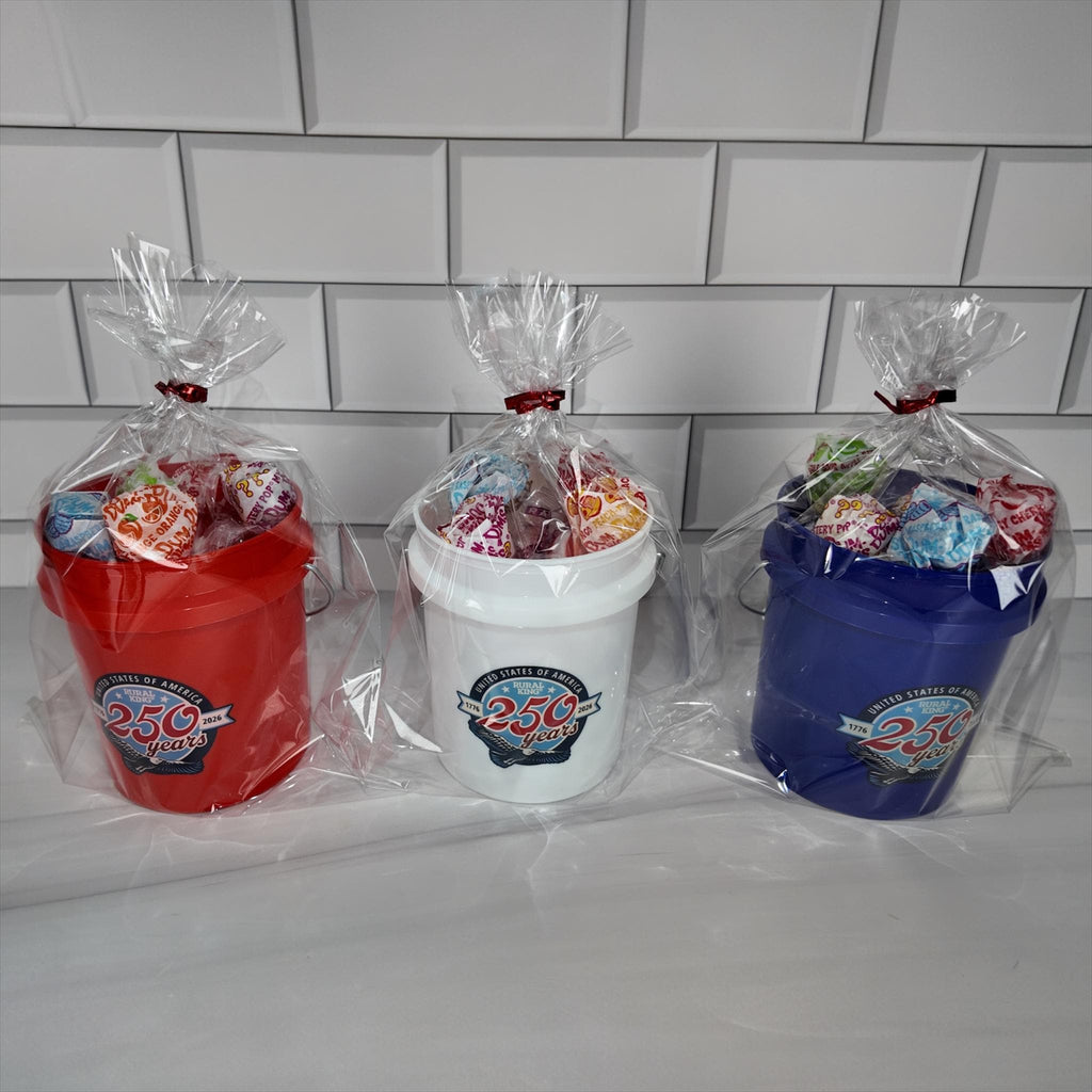 America 250 Years Mini Bucket Peppermint Lollipop Gift Basket Set