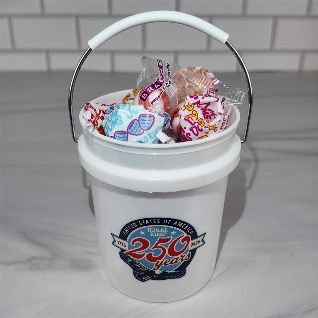 America 250 Years Mini Bucket Peppermint Lollipop Gift Basket Set