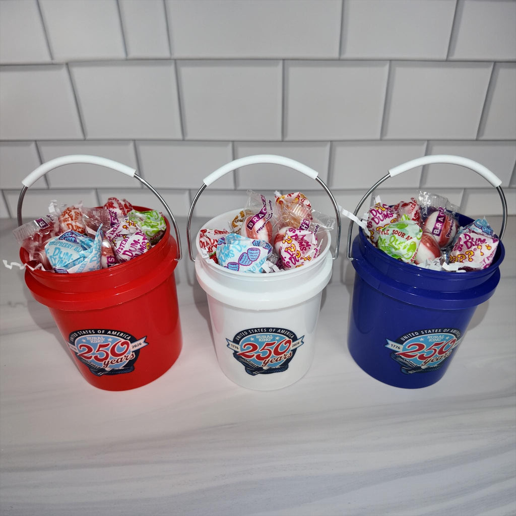 America 250 Years Mini Bucket Peppermint Lollipop Gift Basket Set