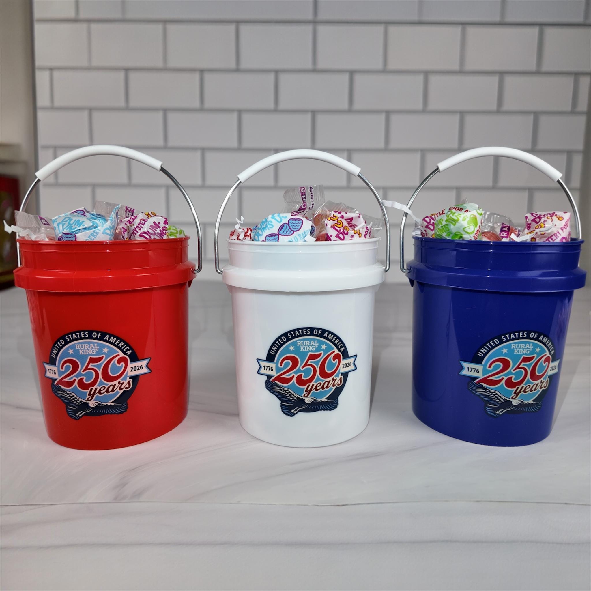 America 250 Years Mini Bucket Peppermint Lollipop Gift Basket Set