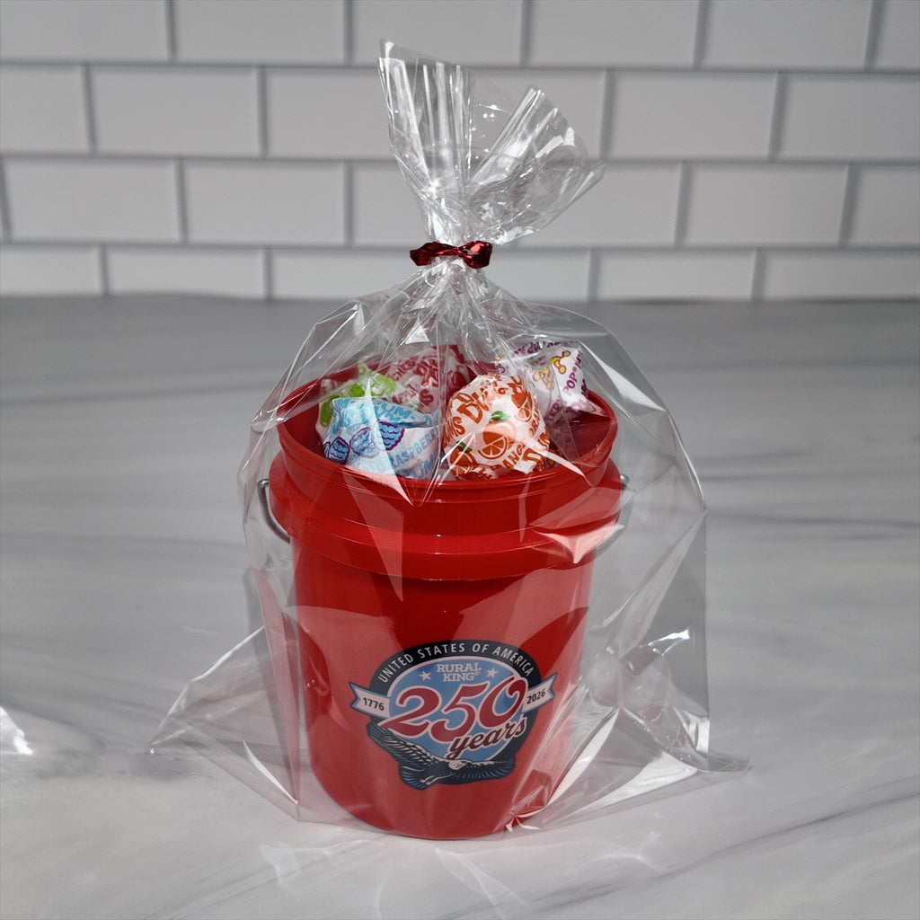 America 250 Years Mini Bucket Peppermint Lollipop Gift Basket Set