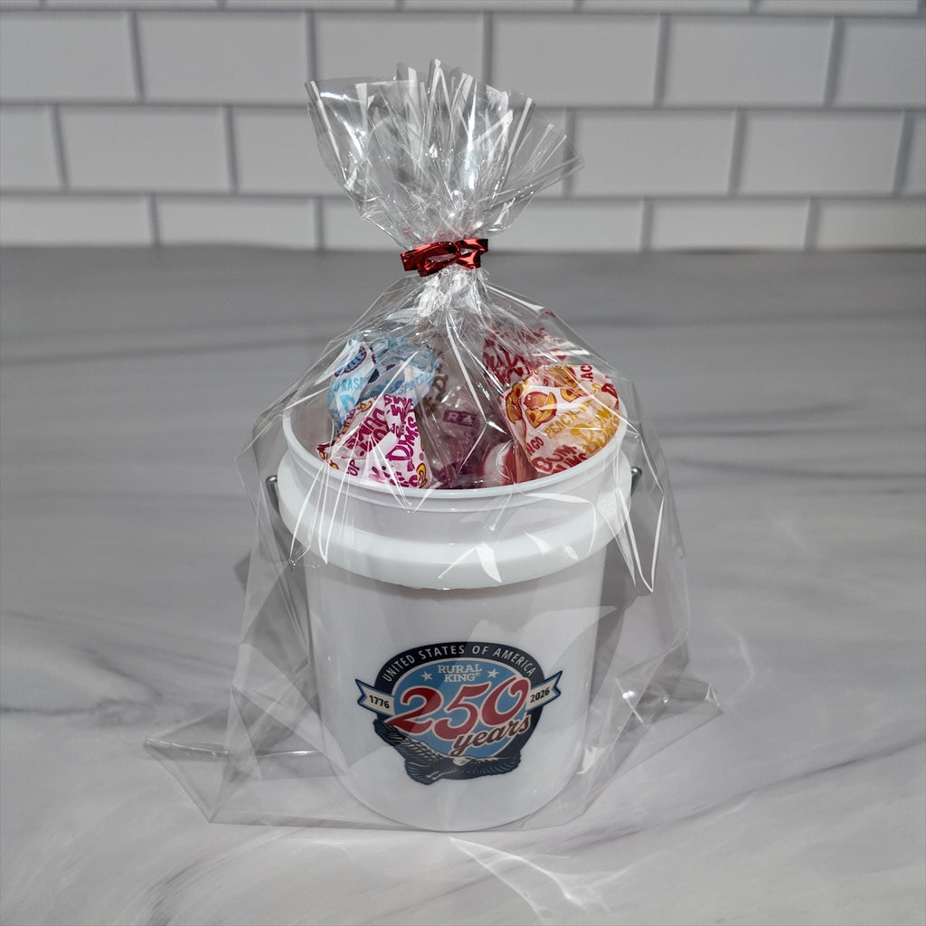 America 250 Years Mini Bucket Peppermint Lollipop Gift Basket Set
