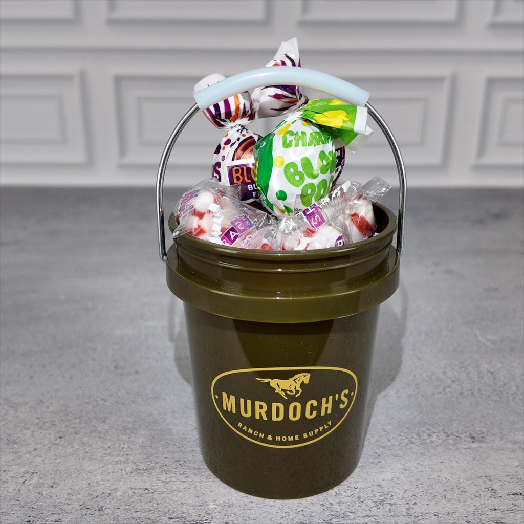 Ranch and Home Supply Mini Bucket Gift Basket