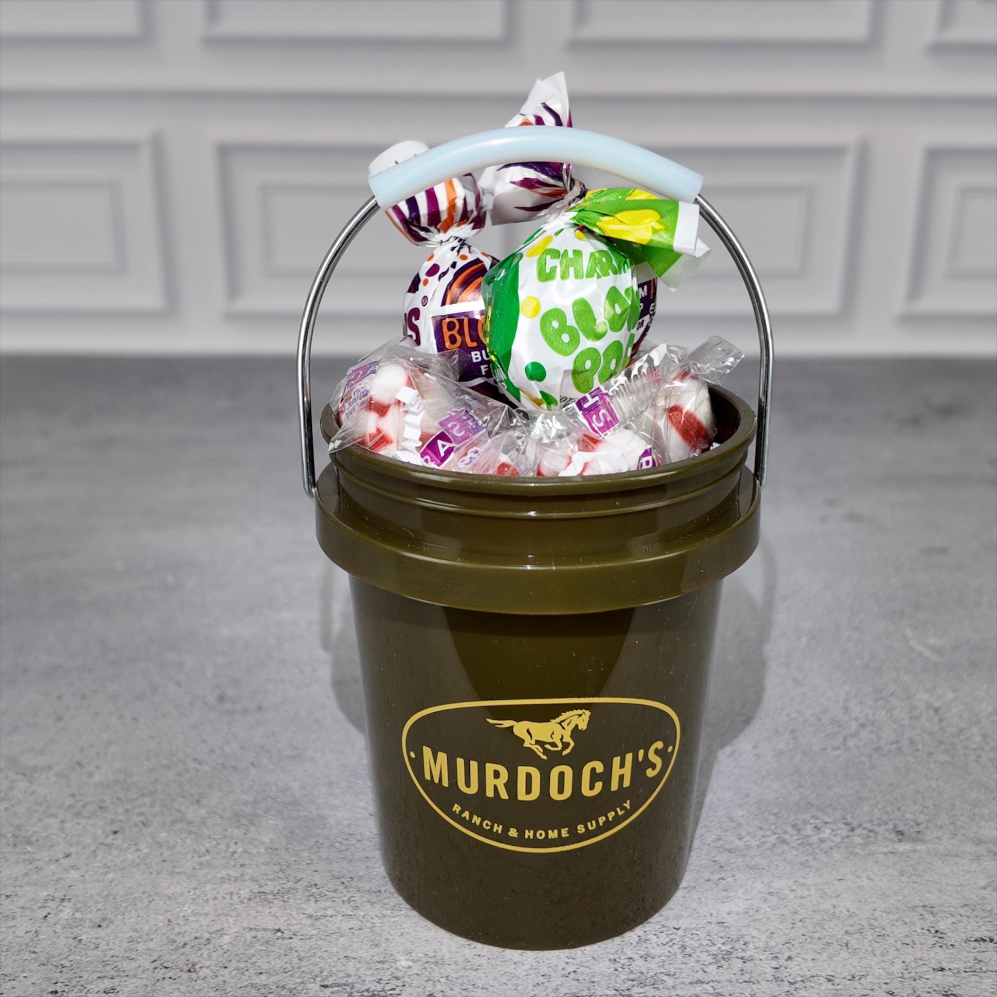 Ranch and Home Supply Mini Bucket Gift Basket