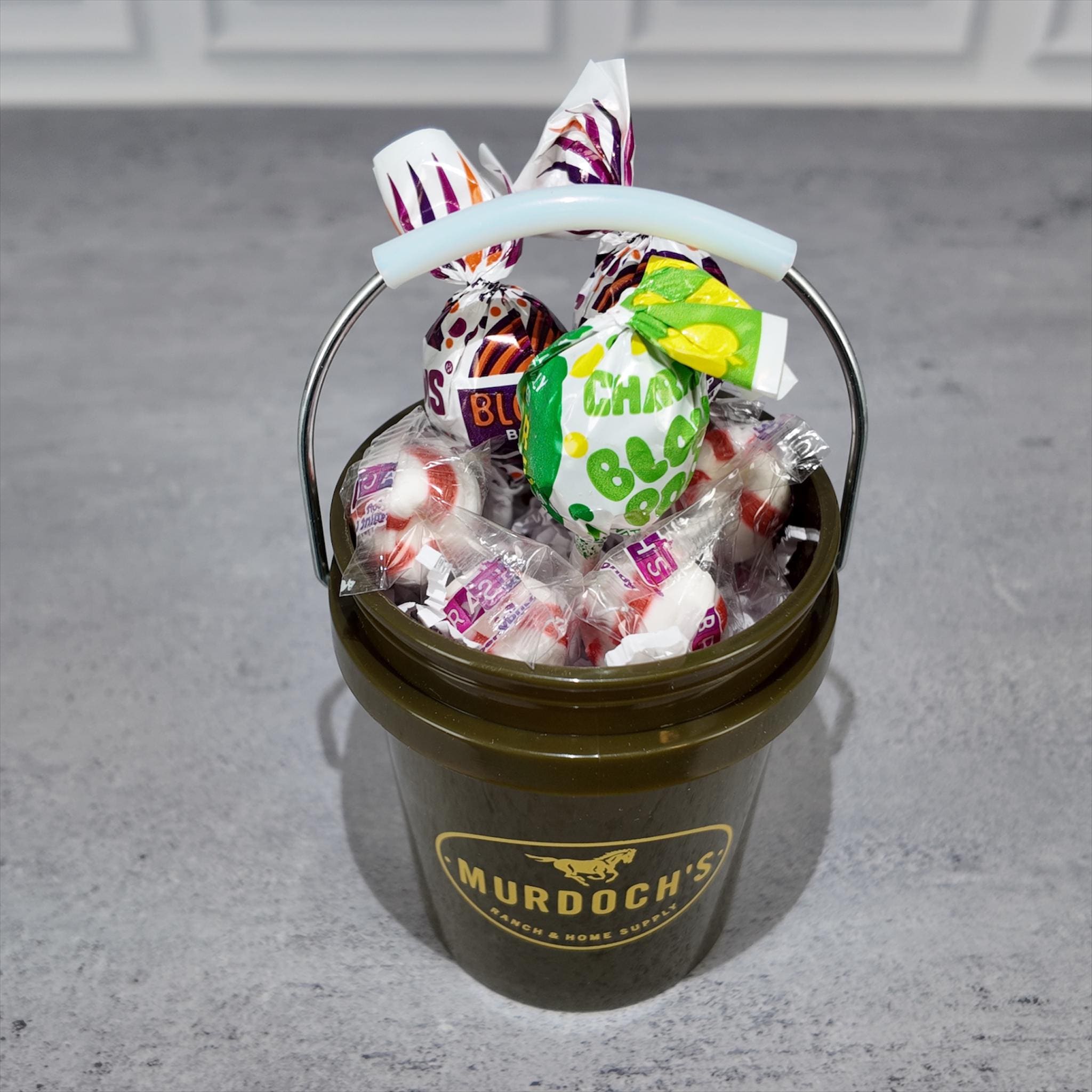 Ranch and Home Supply Mini Bucket Gift Basket