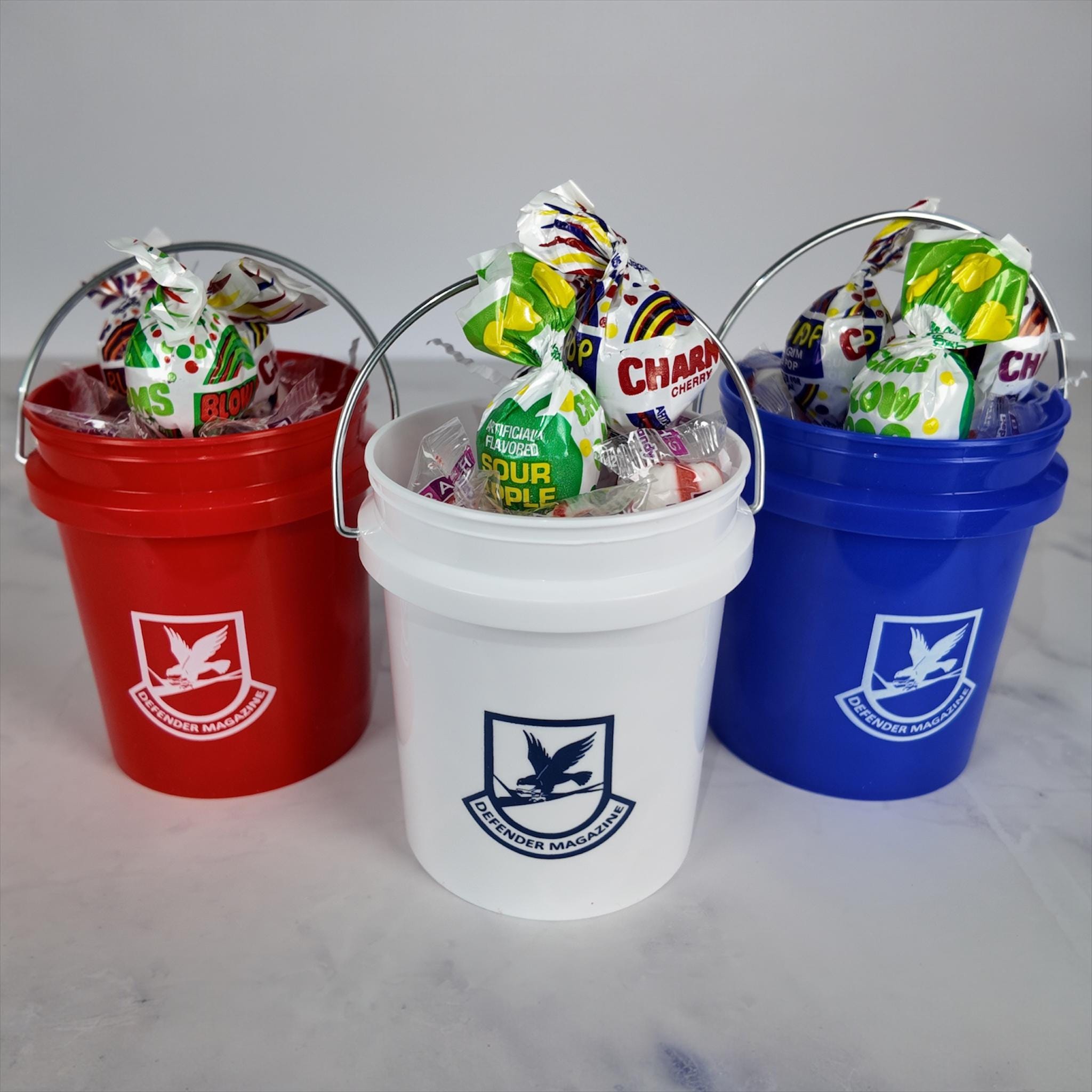 Defender Magazine Mini Bucket Gift Basket Set