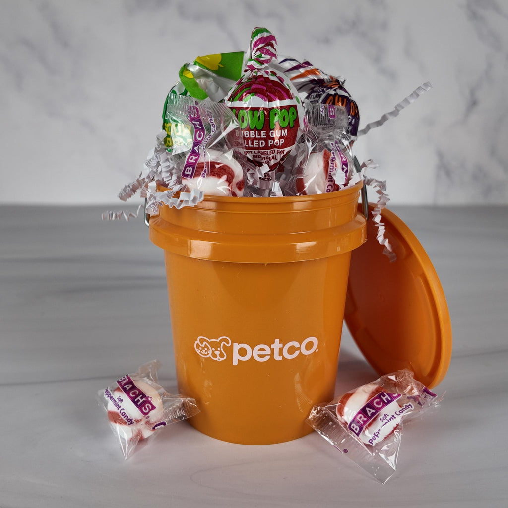 Collectible Orange Mini Bucket Gift Basket (Pet)