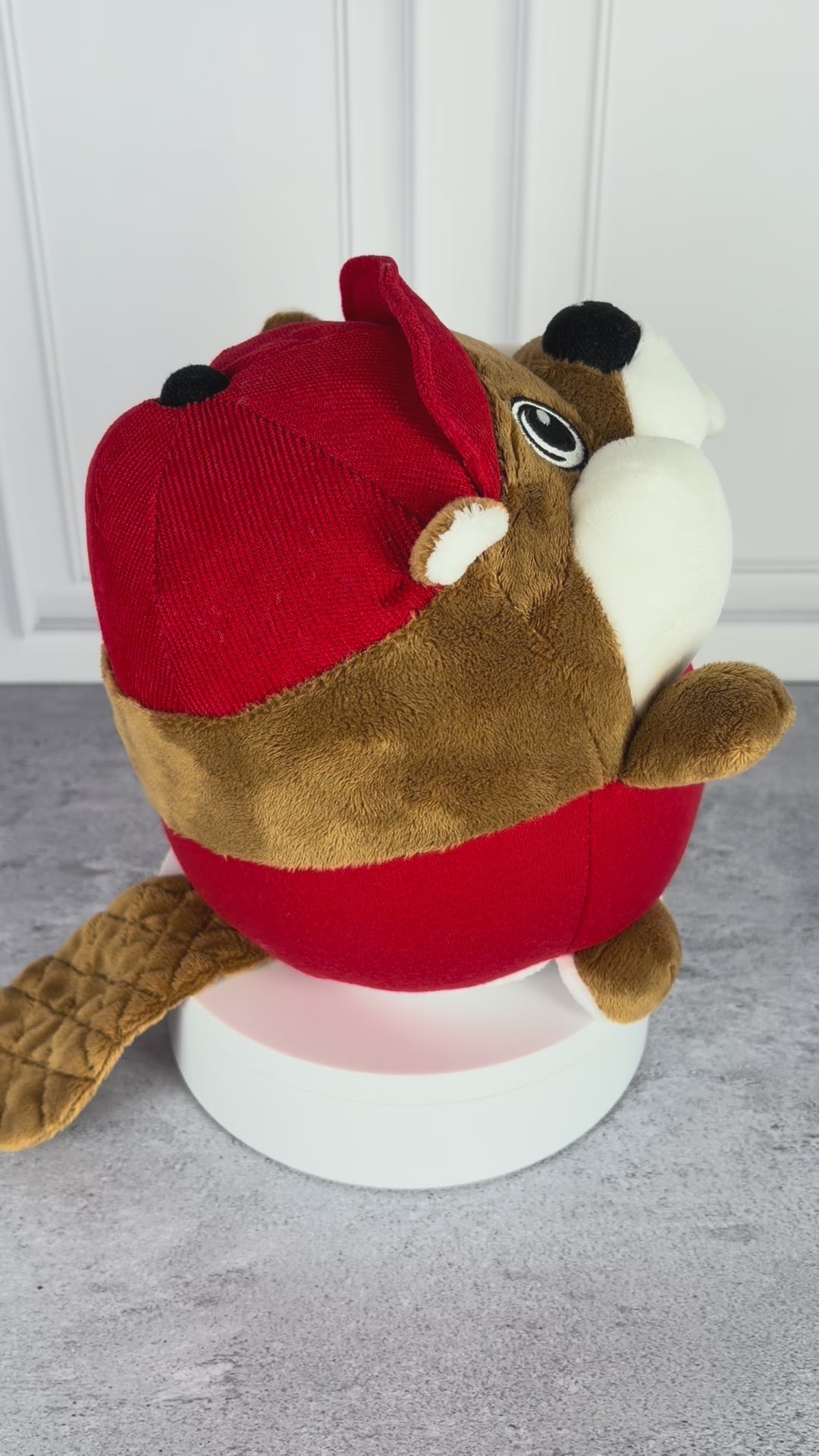 Buc-ee's Stuffed Beaver Ball Plush Toy – Soft Collectible Plushie for Kids & Fans